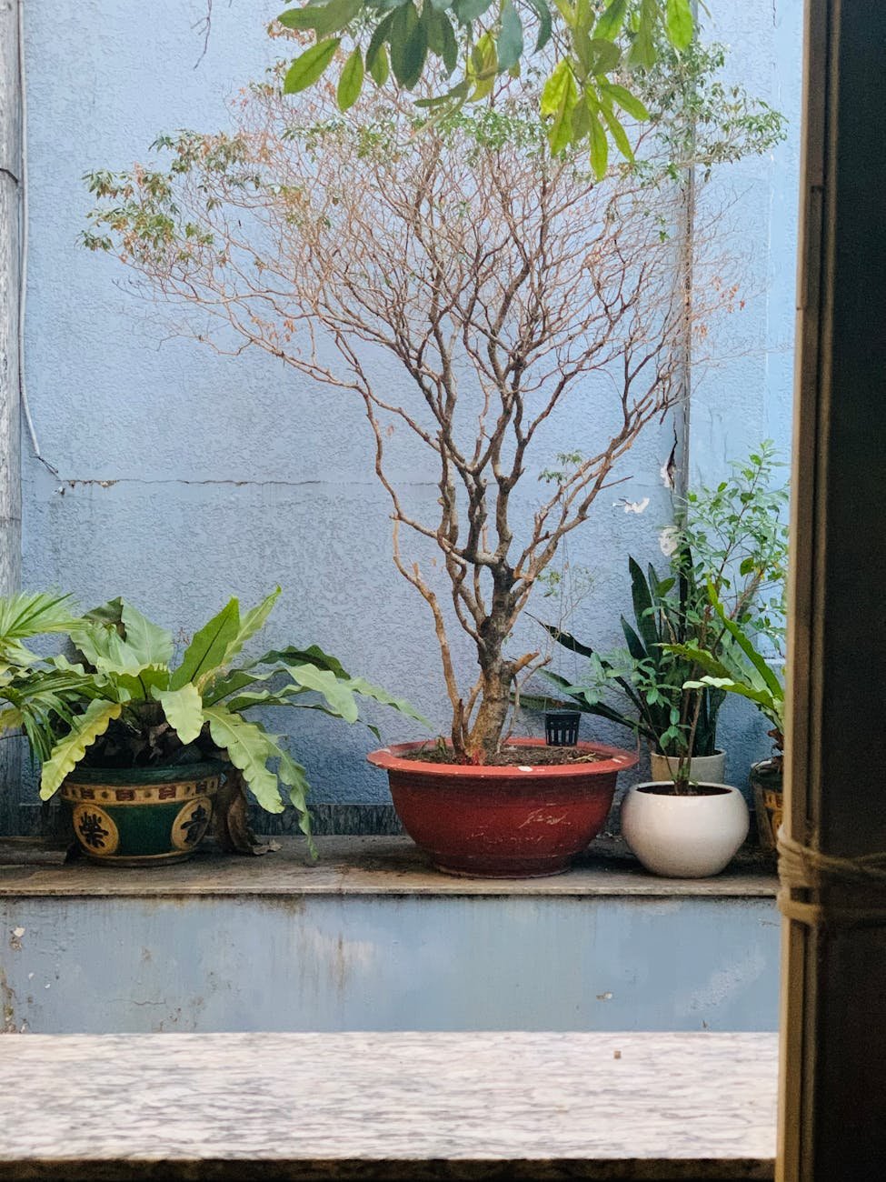 street decorated with potted plants